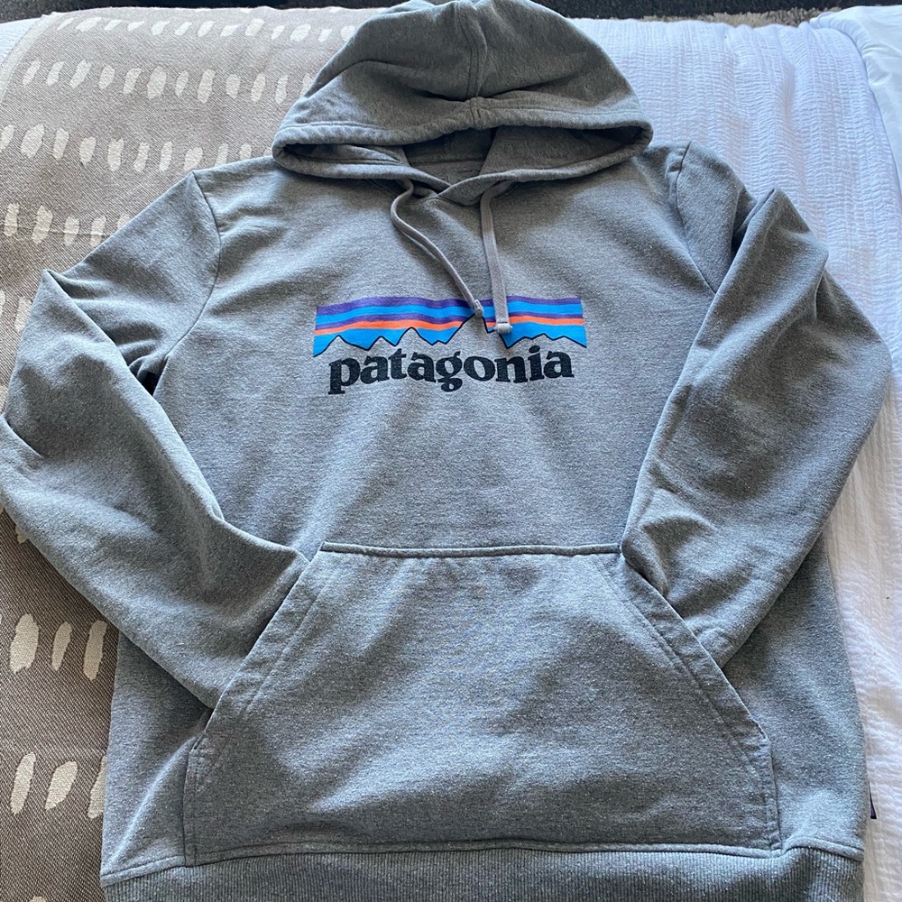 Patagonia hoodie